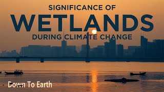 World Wetlands Day 2022: Importance of wetlands at the time of climate change.