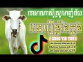 គោអាណាស៊ីស្រូវអាញ់វើញ(Remix នាយគ្រឿន) Mrr chheang official 🚀🚀🚀ភ្លេងឡូយកប់🚀🚀