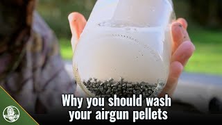 How to prepare your airgun pellets for ultimate accuracy