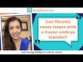 Can fibroids cause issues with a frozen embryo transfer? (Ask the Egg Whisperer with Dr. Aimee)