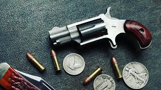 NAA Mini Revolver .22LR - Long Term Review - Shooting \u0026 Carry