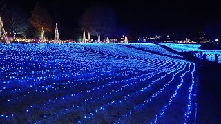 2022・11月20日・宮城県加美町・やくらいガーデン・イルミネーション「星あかり」