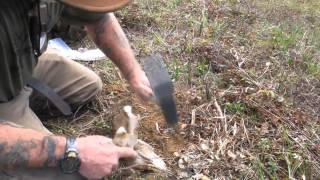Modern Trapping Part 10 Flat Set with Visual Attractant