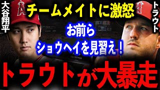 大谷翔平の“ゴミ拾い”姿に世界中が感動の嵐に!「なんて完璧な人間なんだ！」トラウトも大絶賛！【海外反応】