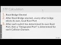 13 Calculating the STP Designated Ports