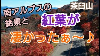 【夫婦登山】愛知県最高峰茶臼山と紅葉狩り