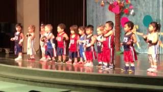 Lucy Spring Program