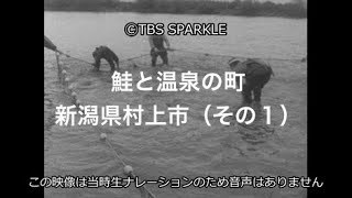 【TBSスパークル】鮭と温泉の町 新潟県村上市（その１） Town of Salmon and Hot Springs Murakami City, Niigata