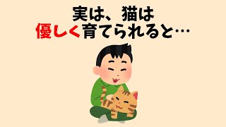 猫のチャーミングな雑学 #猫 #雑学 #豆知識 #聞き流し #ねこ