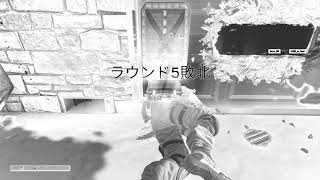 ［#R6S］ミラ窓がおかしい