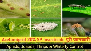 Acetamiprid 20% SP Insecticide full information | Dose,Price, insect Control