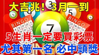 大吉兆！3月一到！這5大生肖一定要買彩票，尤其第一名，必中頭獎！偏財運極佳！前有貴人，後有財神！錯過再等10年！【梵心若素】#生肖 #運勢 #風水 #財運 #命理