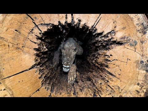 When loggers cut down an old tree – they couldn't believe what they found inside