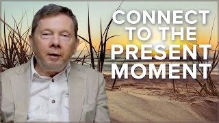 Taking a Moment to Be Present | Eckhart Tolle Rebroadcast of Live Q\u0026A