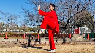 #taichi#太極拳 #24式简化太极拳#太極拳教室 興味のある方はぜひ一度見学に来てみて下さい。葛飾区立石にて毎週火曜日，日曜教室に行っています連絡先:電話080-2485-9956