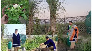 Gardening vlog || आज लगायें 100 से भी ज्यादा फूल के पौधे || vegetables harvesting