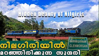 GLENMORGAN A HIDDEN BEAUTY OF NILGIRIS / BEST  TOURIST PLACES IN OOTY /GLENMORGAN TEA ESTATE