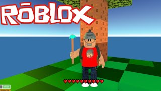 Roblox Skywars 2019 All The Codes Link In The Description - 