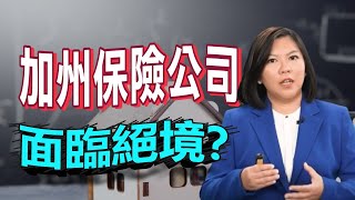 【商業保險】加州保險公司面臨絕境？為何房屋汽車保險公司要退出加州市場？保費不斷上漲、甚至保不到保險..如何應對?!｜美國保險｜泛宇財經爆 (CC字幕)