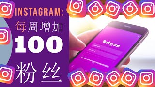 Instagram Tips: 每周增加100粉丝 How i gain 100 Instagram followers per week