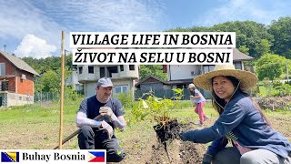 Završili smo sadnju u bašti, čekaju žetvu | We are done planting at the garden, waiting for harvest