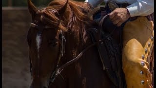 Horse Training Moving From Snaffle To Bridle