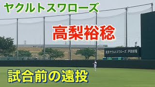 ヤクルトスワローズ　高梨　試合前遠投