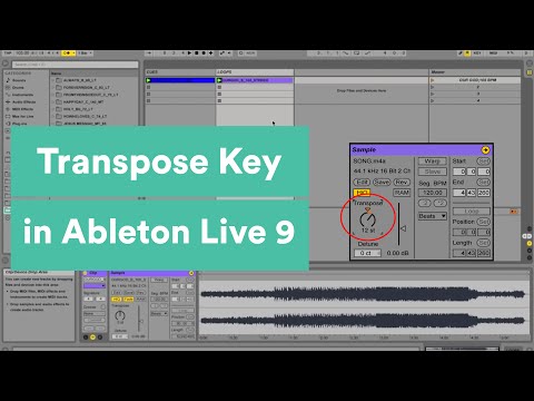 Transposing The Key In Ableton Live Transposing The Key In Ableton Live