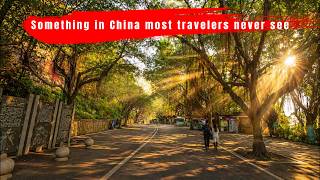 Inside a Hidden Qing Dynasty Tomb in Guangzhou (A Merchant’s Secret Legacy)