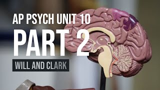 AP Psychology | Myers’ Unit 10 Part 2