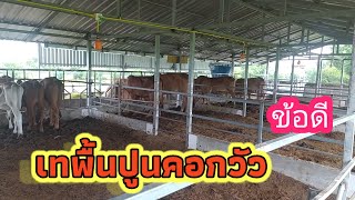 ข้อดีของการเทพื้นปูนคอกวัว