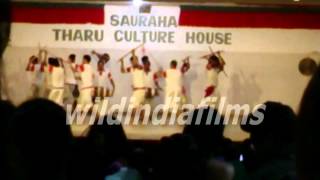 Sauraha Tharu Culture House Jhamta Naach( Claping Dance)