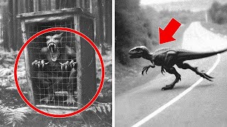 LEAKED: 5 Mysterious Dinosaur Videos Scientists Can't Explain