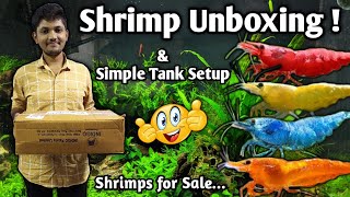 Shrimps Unboxing with Simple Tank Setup  | Shrimps for Sale | தமிழ் | Wonder Aqua Garden