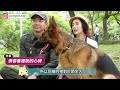 警戒犬的散步指南feat.wolfy 德牧 李蒨蓉｜熊爸估狗