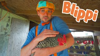 Learning Animals With Blippi | Educational Videos For Kids
