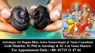 লক্ষ্মী নারায়ণ শালিগ্রাম  শিলা   Natural Laxmi Narayan Shaligram (Gandaki River in Nepal) for Sale