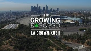 Growing Exposed Season 2 Episode 1: LA Grown Kush