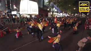 🇯🇵北海道医療大学〜桜雅〜 YOSAKOIソーラン祭り 2023／日本 北海道 札幌 中央区 FUNKY!すすきの会場 [4K Binaural ASMR]