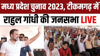 MP Election 2023: Rahul Gandhi Tikamgarh Public Rally, Madhya Pradesh | Congress | NBT