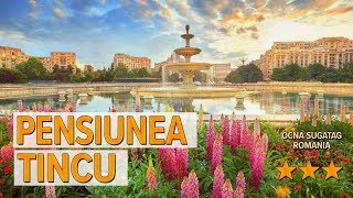 Pensiunea Tincu hotel review | Hotels in Ocna Sugatag | Romanian Hotels