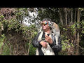 Maky lemur also called ring tail Lemur are only found in Madagascar video Arif Herekar