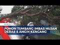 Hujan Deras Disertai Angin Kencang Terjang Klaten, Akibatkan Sejumlah Pohon Tumbang