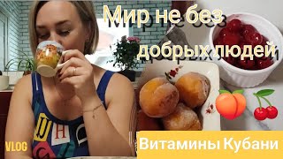 Влог# 588 Влоги с ЮГА 🌞 Мир не без добрых людей 🙏🏼 Витамины зимой на Кубани 🍒🍑