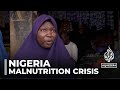 Nigeria food shortages: UN appeals for $300m to avert malnutrition crisis