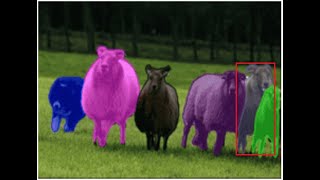 INSTANCE SEGMENTATION - MASK R-CNN | with Python and Opencv