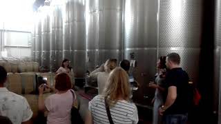 KTW Wine House Patardzeuli ( Gito tour •  გიტო ტური )