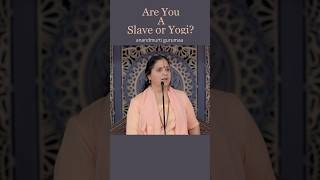 Are you a slave or yogi ?