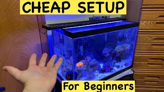 The Best Beginner Salt Water Tank Setup!!! Simple and Cheap!