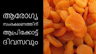 ആരോഗ്യസംരക്ഷണത്തിന് ആപ്രിക്കോട്ട് ദിവസവും||Health Tips Malayalam